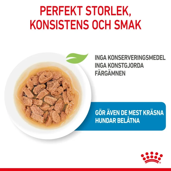 Royal Canin Mini Puppy Gravy 12x85 g Royal Canin