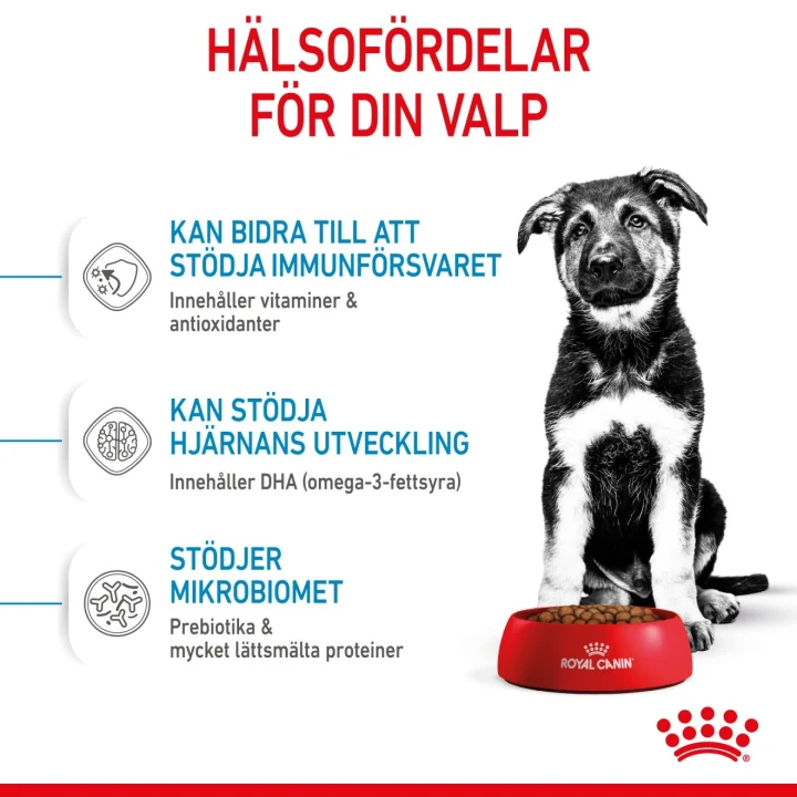 Royal Canin Maxi Puppy 4 kg Royal Canin