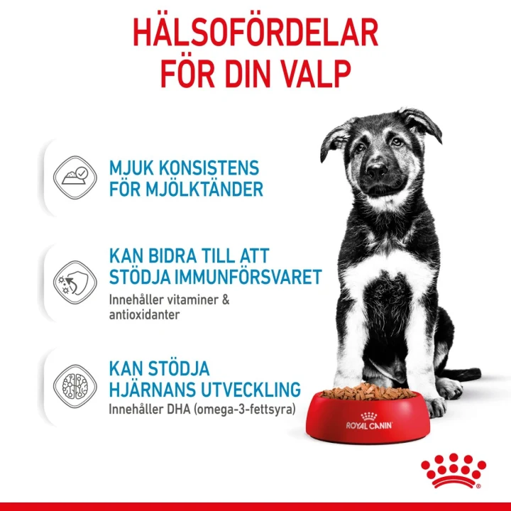 Royal Canin Maxi Puppy Gravy 10x140 g Royal Canin