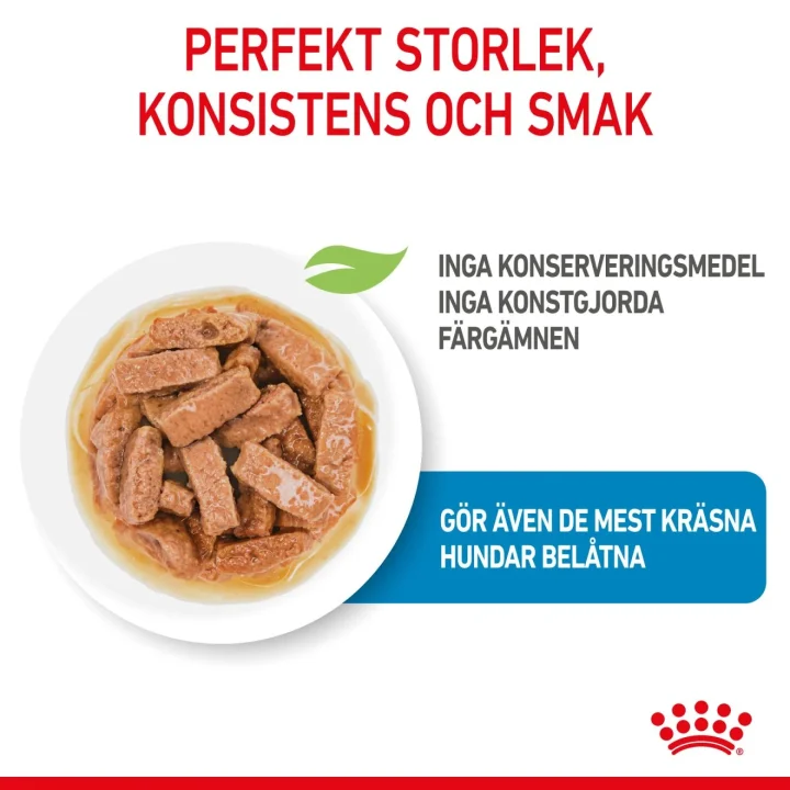 Royal Canin Maxi Puppy Gravy 10x140 g Royal Canin