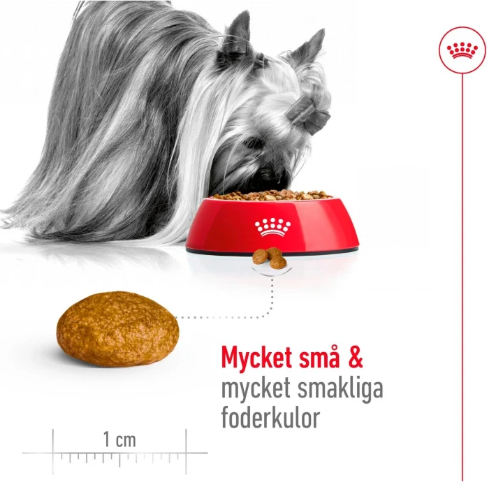 Royal Canin X-Small Adult Dog 3 kg Royal Canin