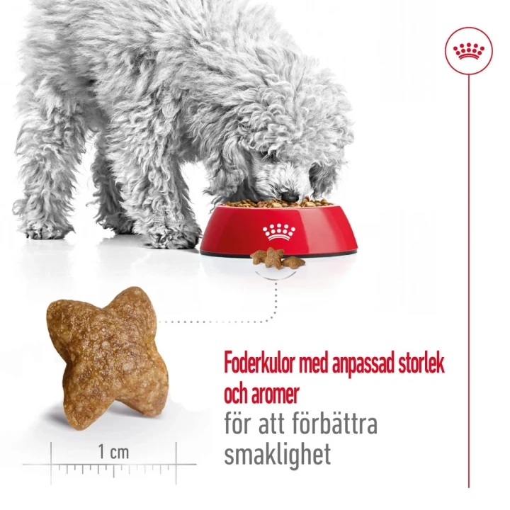 Royal Canin Mini Adult Dog 2 kg Royal Canin
