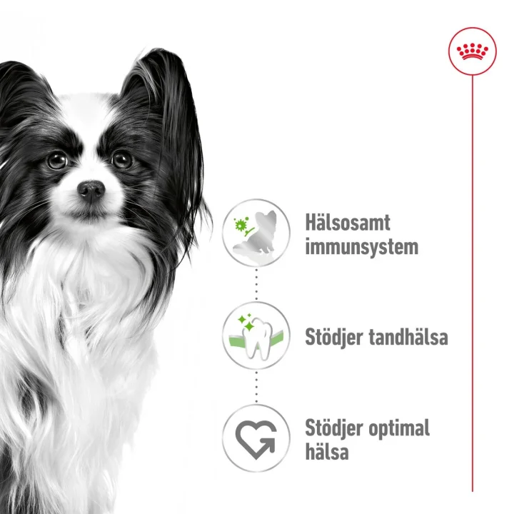 Royal Canin X-Small Adult Dog 3 kg Royal Canin