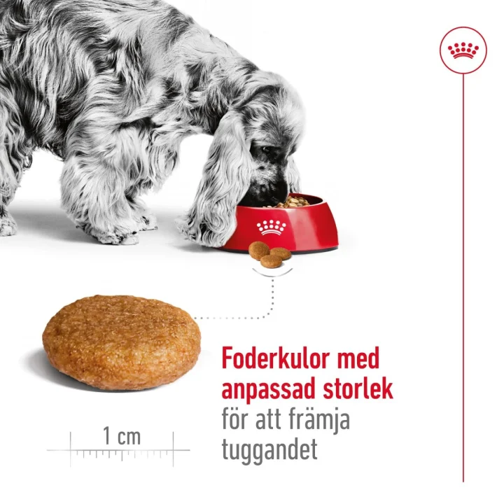 Royal Canin Medium Adult Dog 4 kg Royal Canin