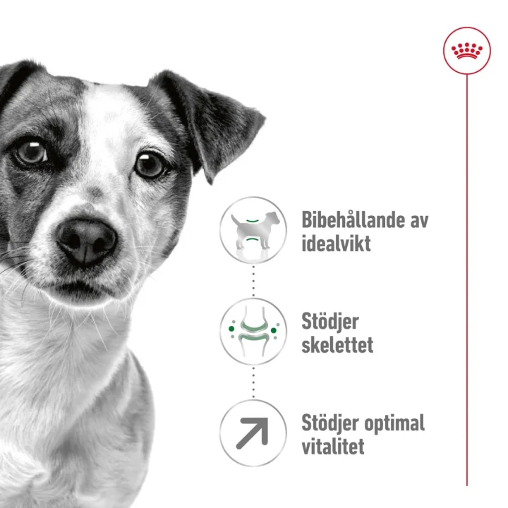 Royal Canin Mini Adult 8+ Dog 8 kg Royal Canin