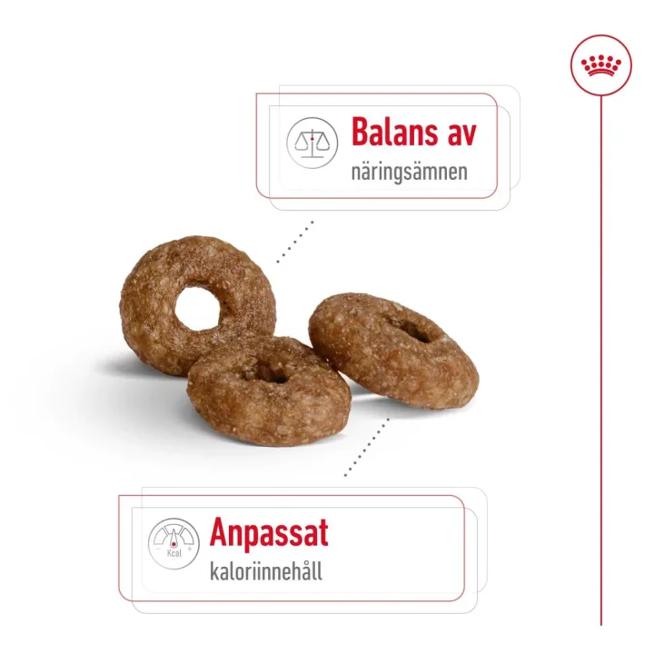 Royal Canin Mini Ageing 12+ Dog 3.5 kg Royal Canin