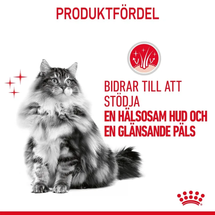 Royal Canin Hair & Skin Gravy Cat 12x85 g Royal Canin