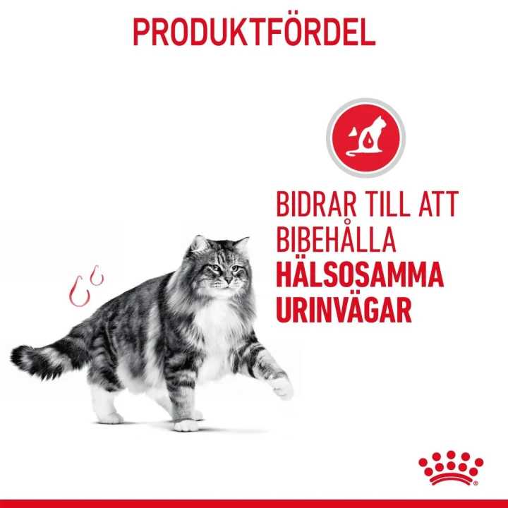 Royal Canin Urinary Care Gravy Cat 12x85 g Royal Canin