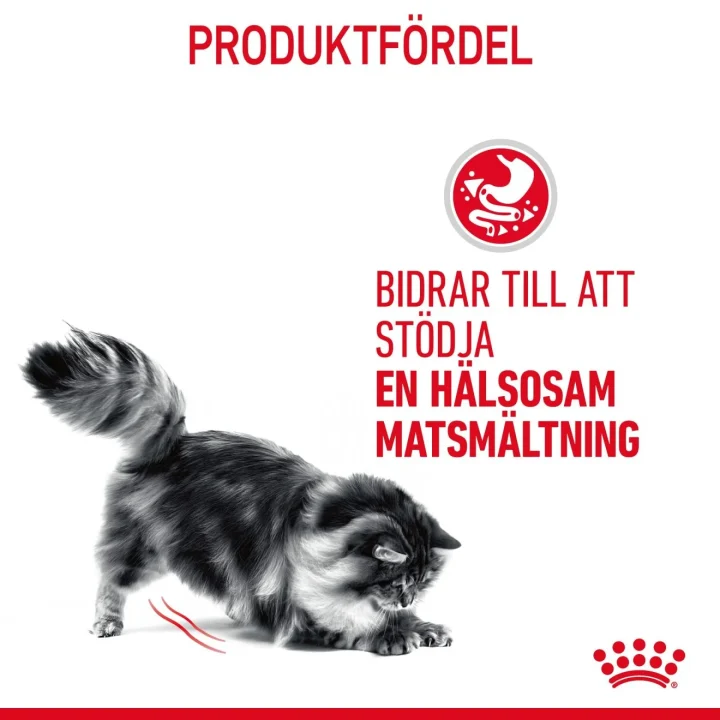 Royal Canin Digestive Care Gravy Cat 12x85 g Royal Canin
