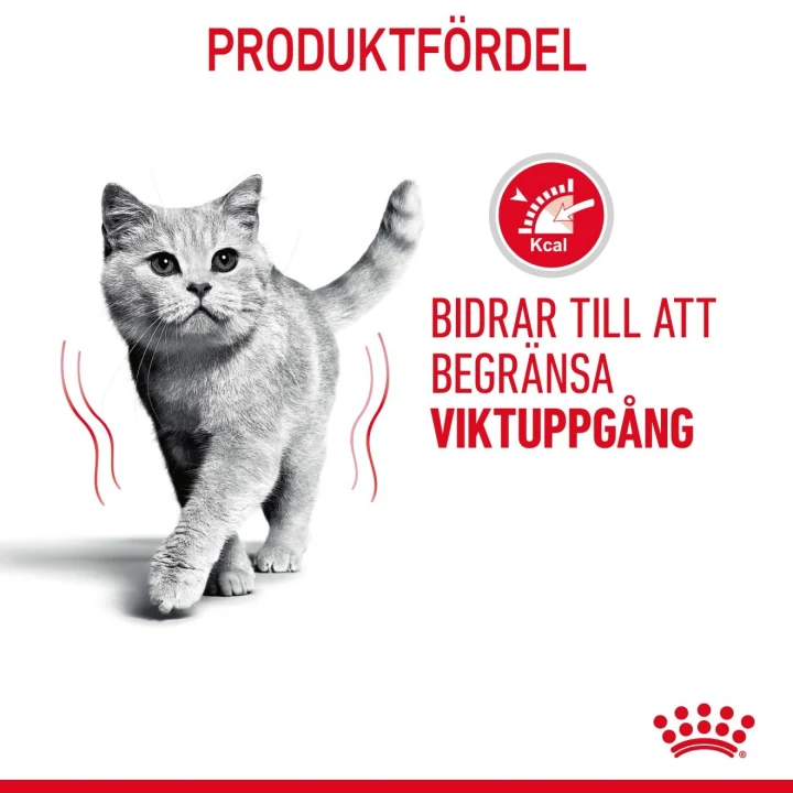 Royal Canin Light Weight Care Cat  8 kg Royal Canin