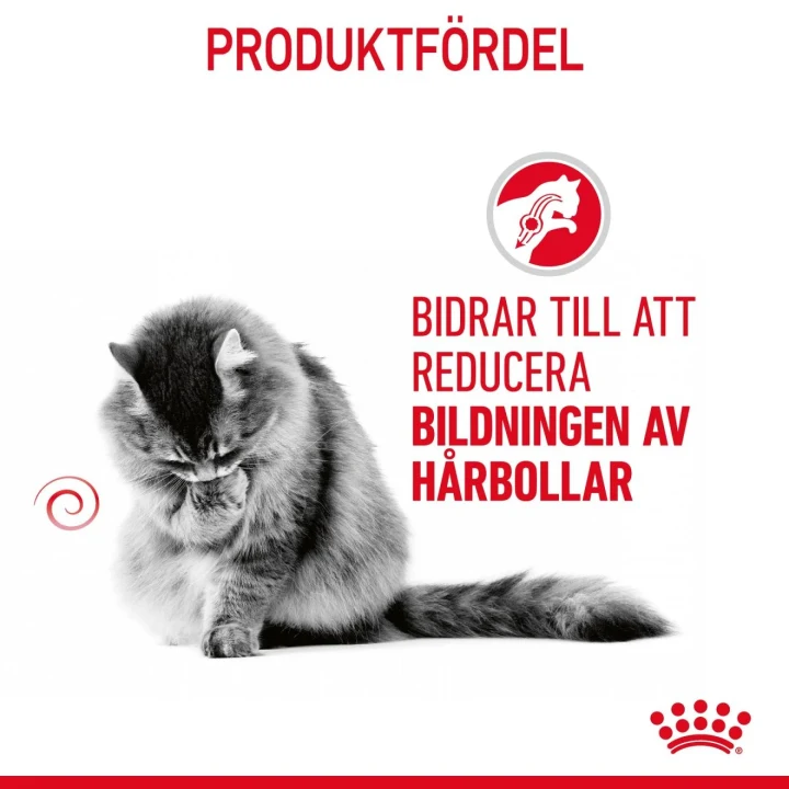 Royal Canin Hairball Care Gravy 12x85 g Royal Canin