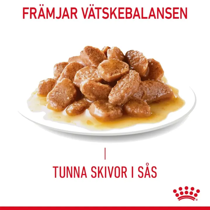 Royal Canin Appetite Control Gravy Cat 12x85 g Royal Canin