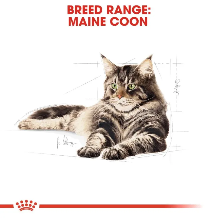Royal Canin Maine Coon Adult Gravy 12x85 g Royal Canin