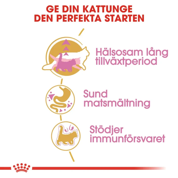 Royal Canin Maine Coon Kitten 2 kg Royal Canin