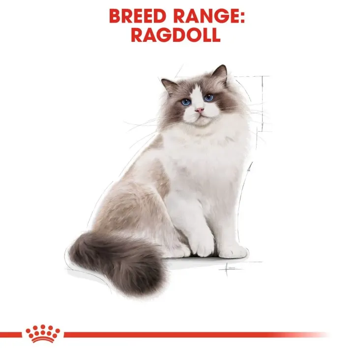 Royal Canin Ragdoll Adult  2 kg Royal Canin