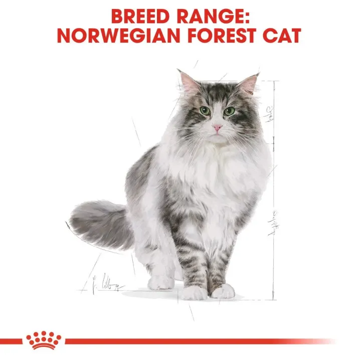 Royal Canin Norwegian Forest Cat Adult  2 kg Royal Canin