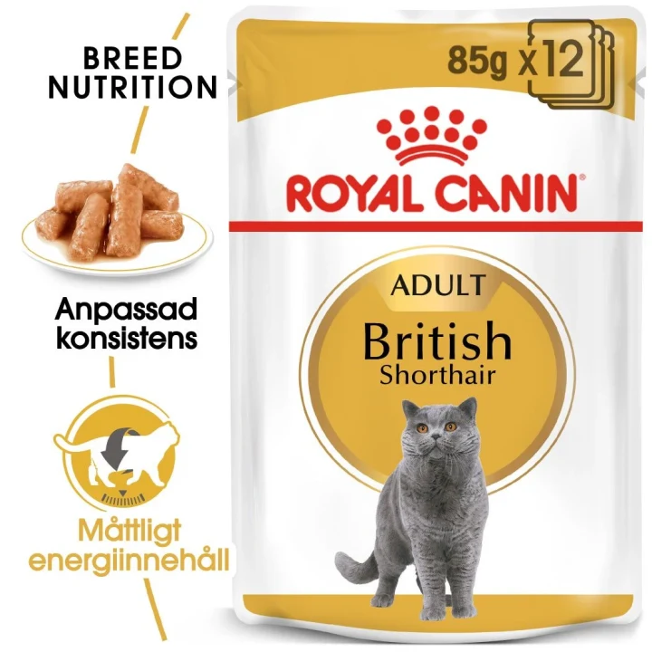 Royal Canin British Shorthair Gravy 12x85 g Royal Canin