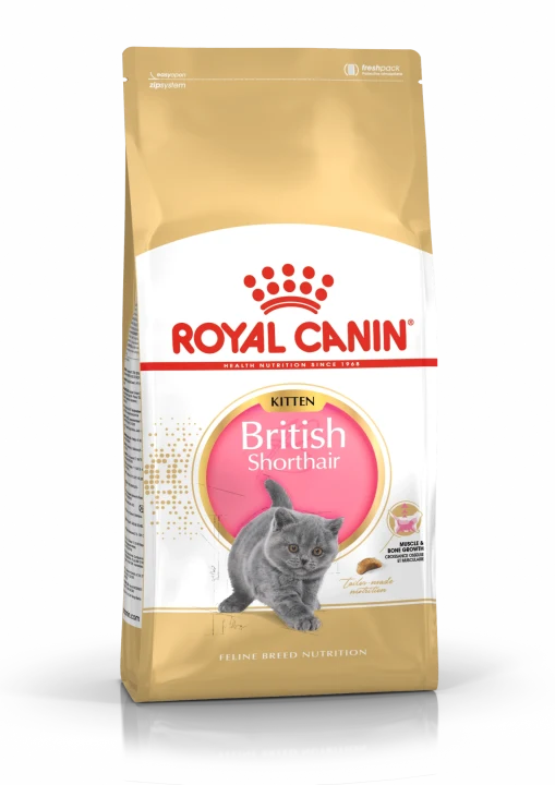 Royal Canin British Shorthair Kitten 2 kg Royal Canin