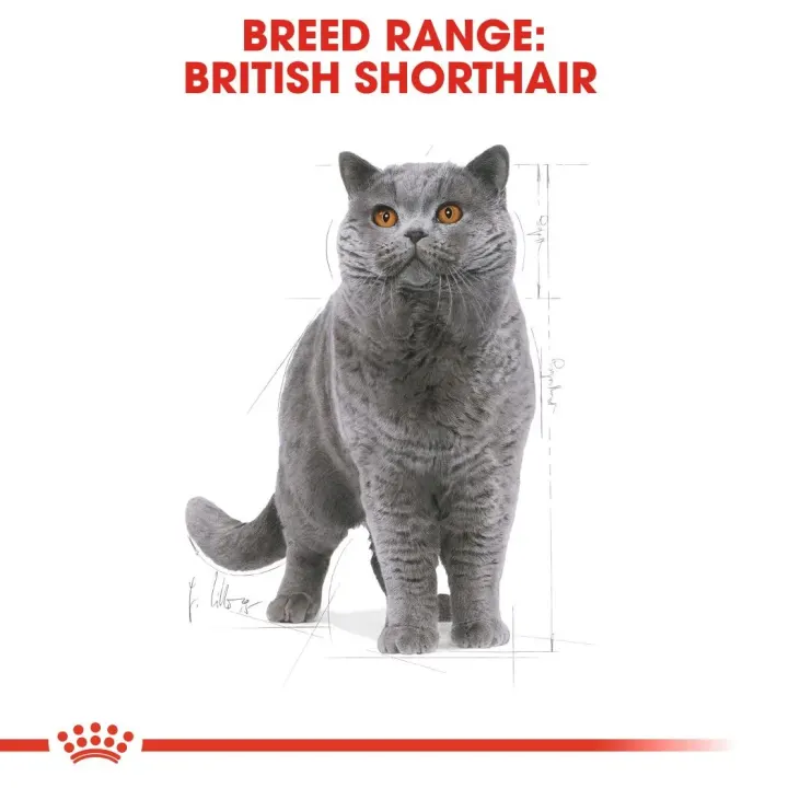 Royal Canin British Shorthair Adult 2 kg Royal Canin