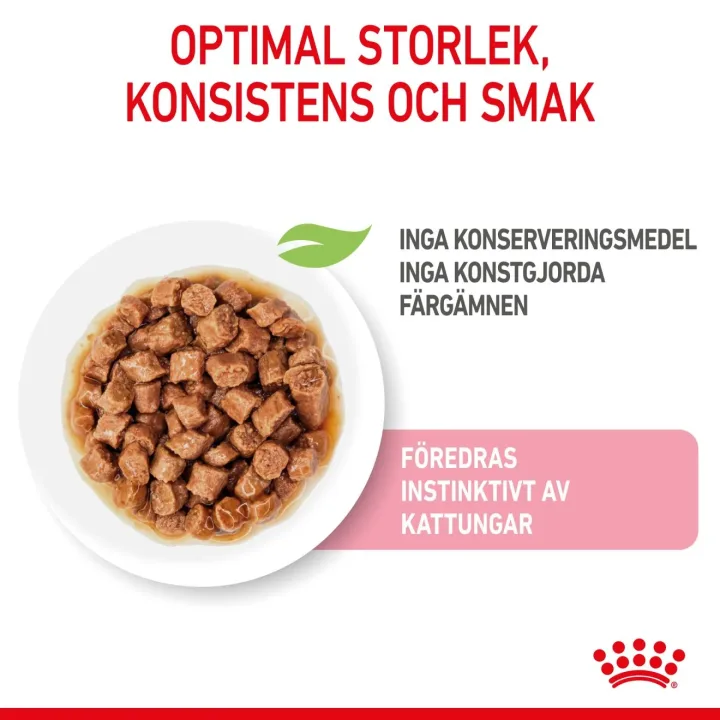 Royal Canin Kitten Gravy 12x85 g Royal Canin