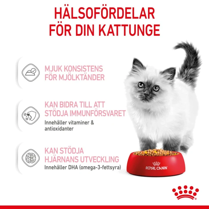Royal Canin Kitten Jelly 12x85 g Royal Canin