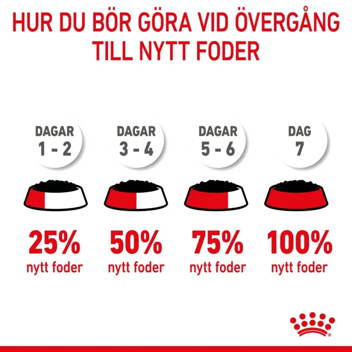 Royal Canin Kitten Jelly 12x85 g Royal Canin