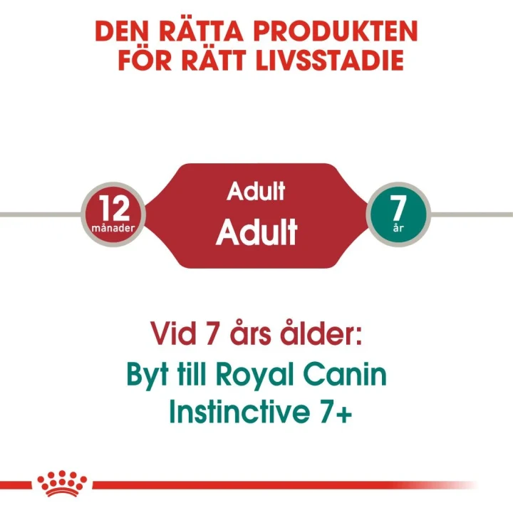 Royal Canin Instinctive Jelly Cat 12x85 g Royal Canin