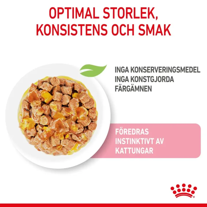 Royal Canin Kitten Sterilised Jelly 12x85 g Royal Canin