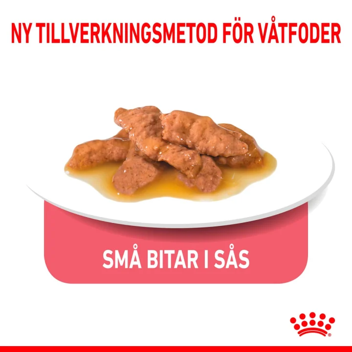 Royal Canin Indoor Gravy Cat 12x85 g Royal Canin