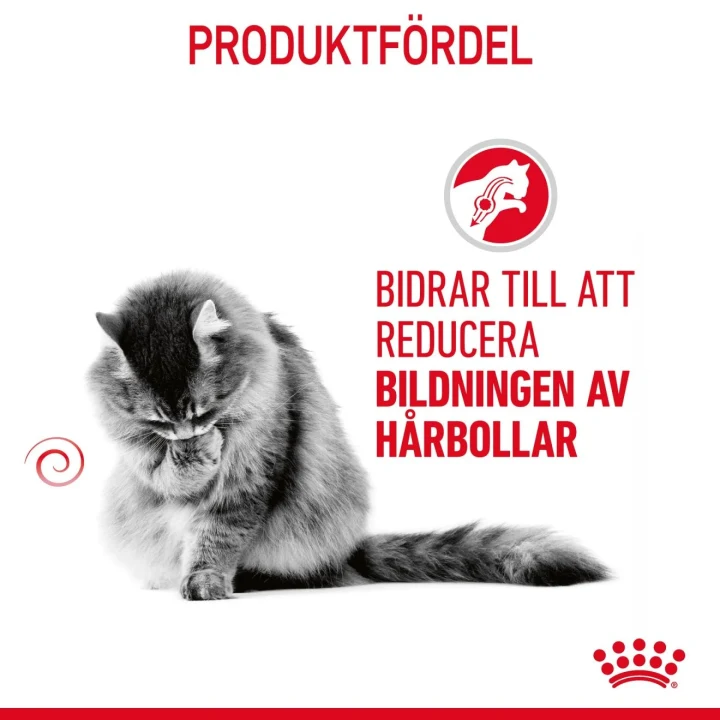 Royal Canin Hairball Care  2 kg Royal Canin