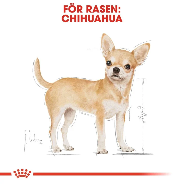 Royal Canin Chihuahua Adult Loaf 12x85 g Royal Canin