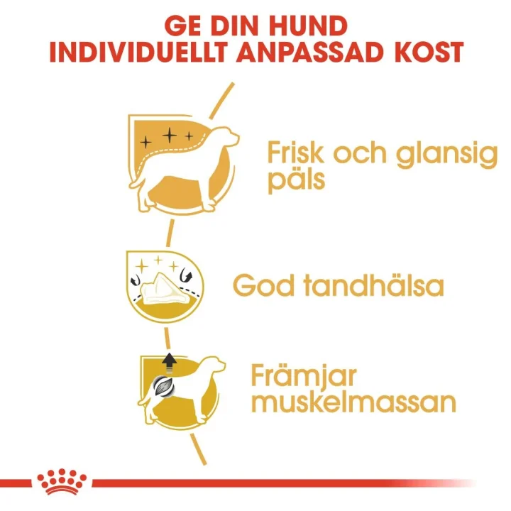 Royal Canin Poodle Adult 1,5 kg Royal Canin