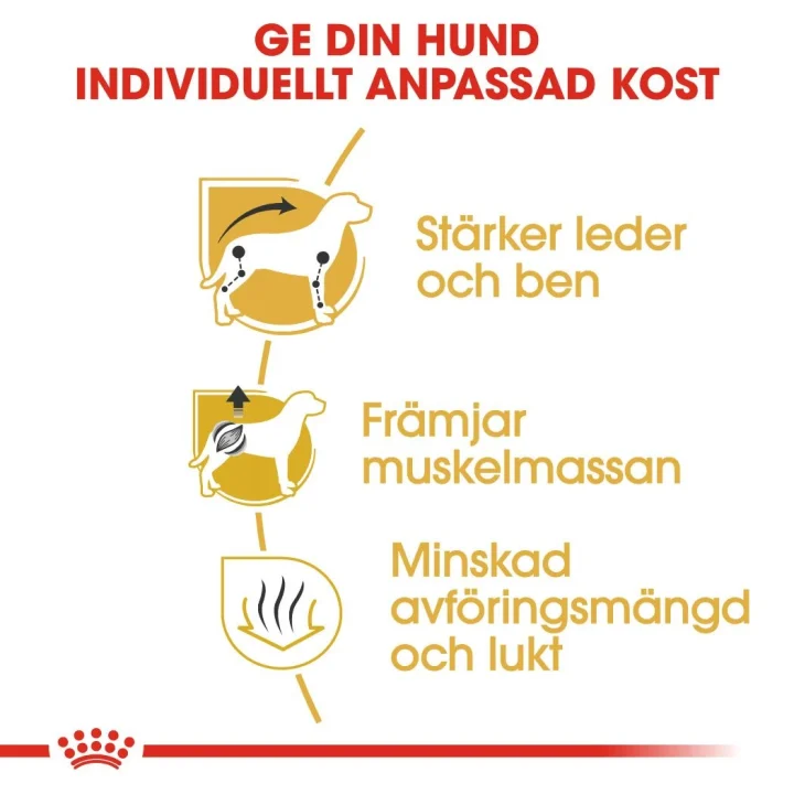 Royal Canin Dachshund Adult 1,5 kg Royal Canin