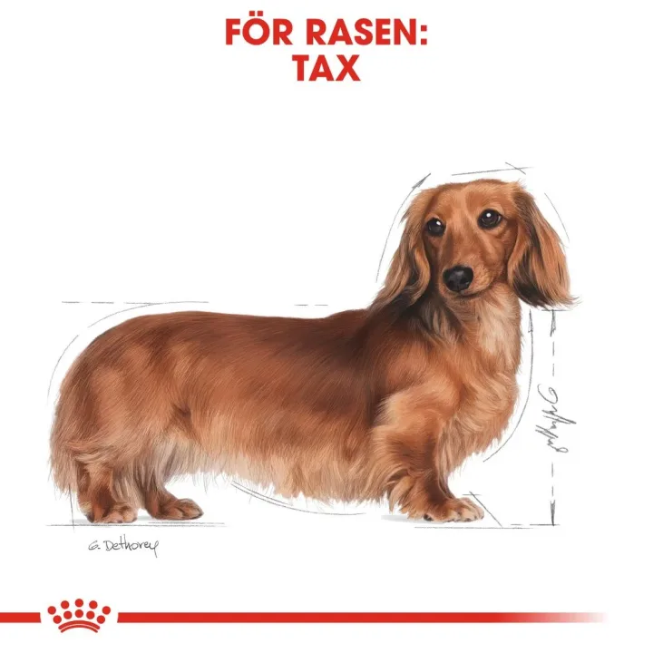Royal Canin Dachshund Adult 1,5 kg Royal Canin