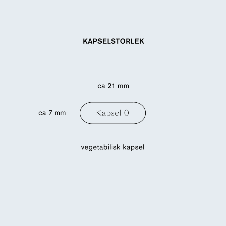 Holistic Blodsockerbalans 30 kapslar Holistic