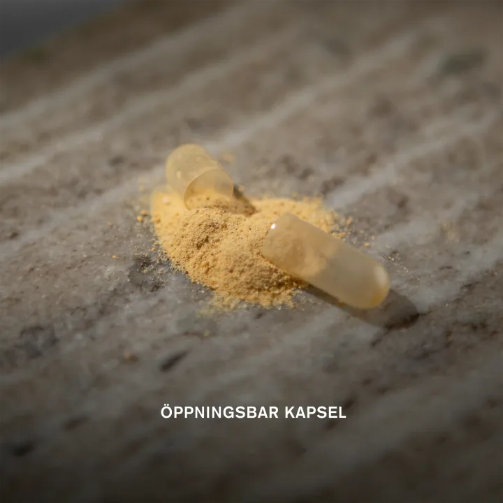 Holistic Sharp Mind 60 kapslar Holistic