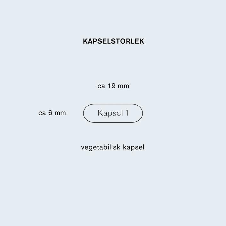 Holistic D3-vitamin Vegan 2000 90 kapslar Holistic