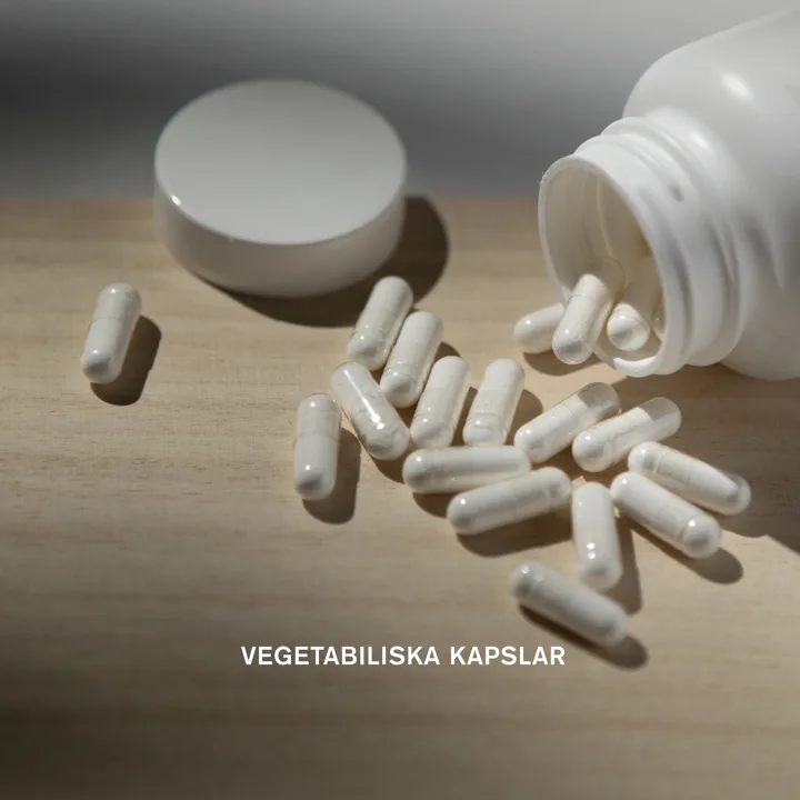 Holistic D3-vitamin Vegan 2000 90 kapslar Holistic