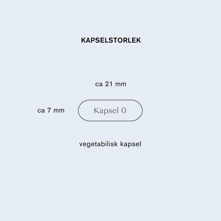 Holistic Lion's Mane 60 kapslar Holistic