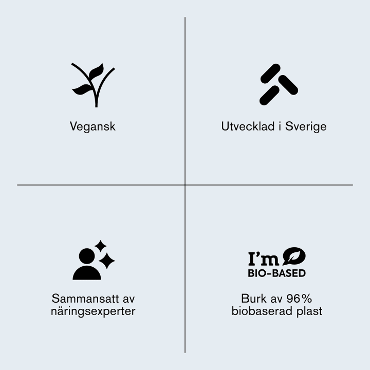 Holistic Lion's Mane 60 kapslar Holistic