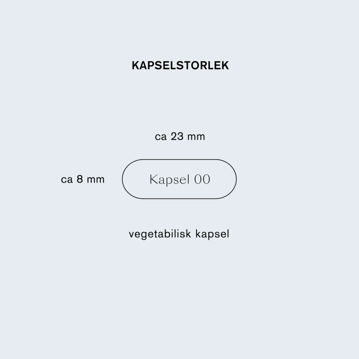 Holistic Magsyrabalans 90 kapslar Holistic