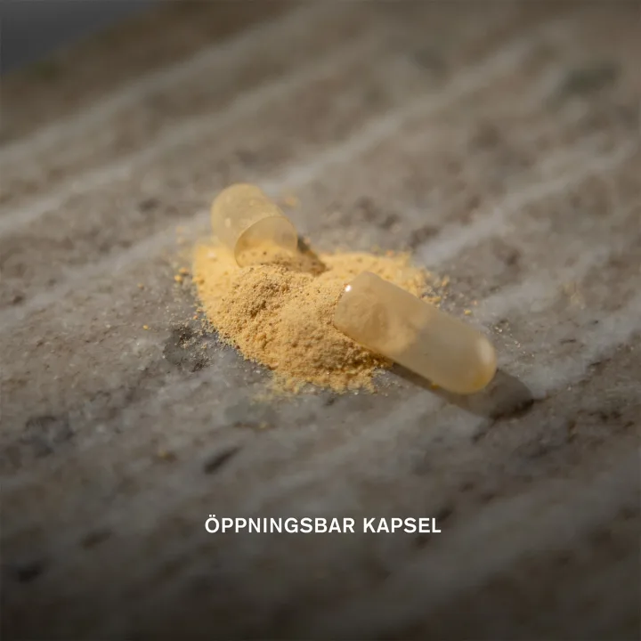 Holistic Magnesium Liposomal 60 kapslar Holistic