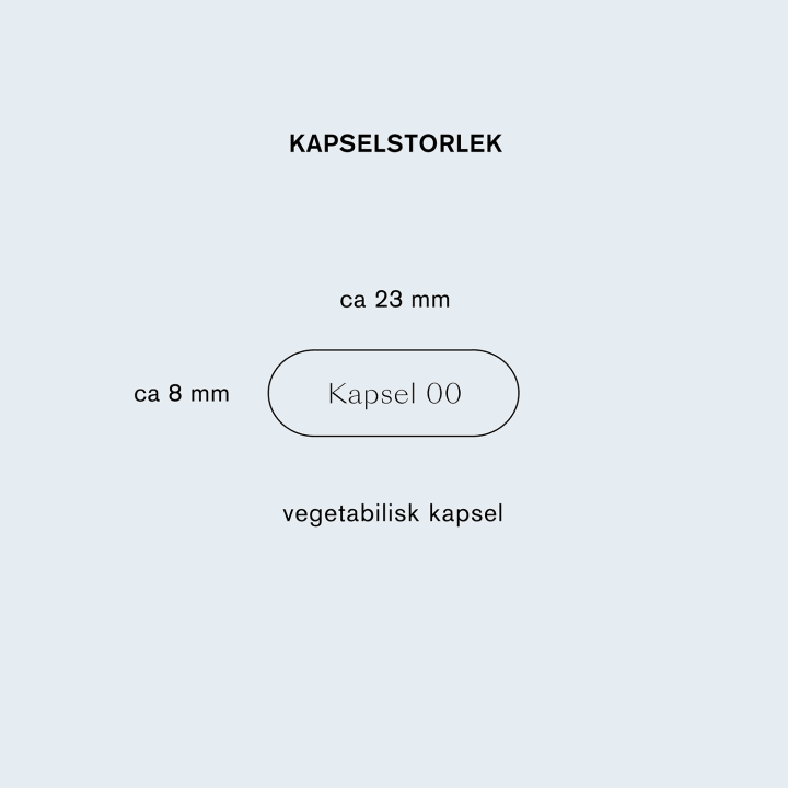 Holistic Homme Viril+ 90 kapslar Holistic