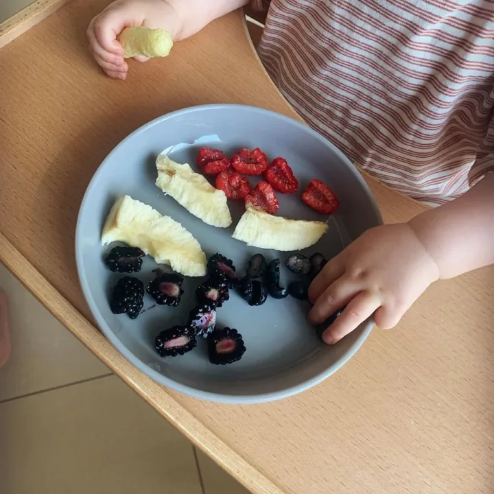 Twistshake Tallrik Pastell Grå Twistshake