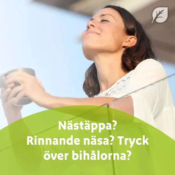 Sinupret forte dragerad tablett 20 st Sinupret