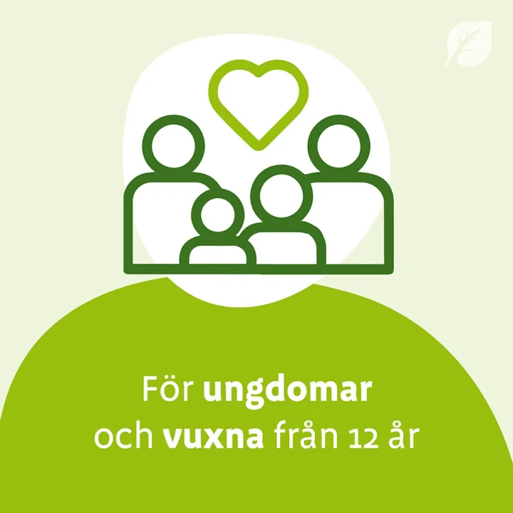 Sinupret forte dragerad tablett 20 st Sinupret