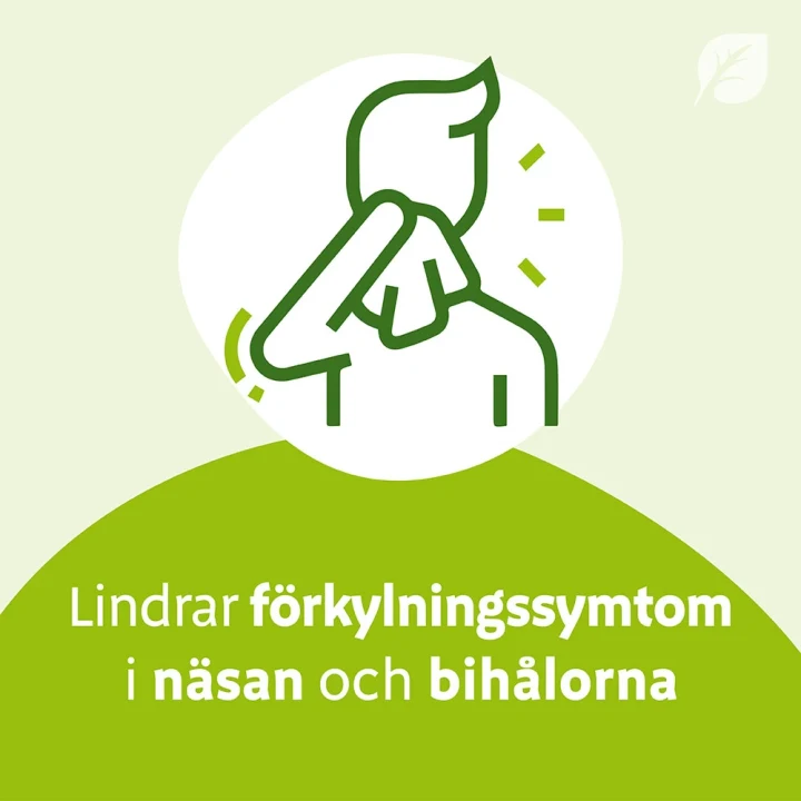 Sinupret forte dragerad tablett 20 st Sinupret