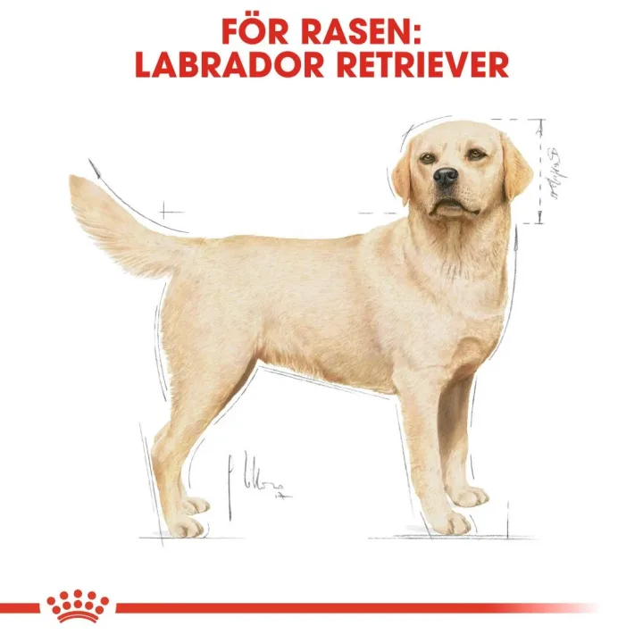 Royal Canin Labrador Retriever Adult 12 kg Royal Canin