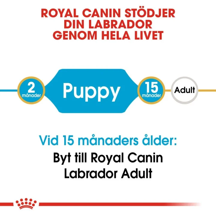 Royal Canin Labrador Retriever Puppy 12 kg Royal Canin
