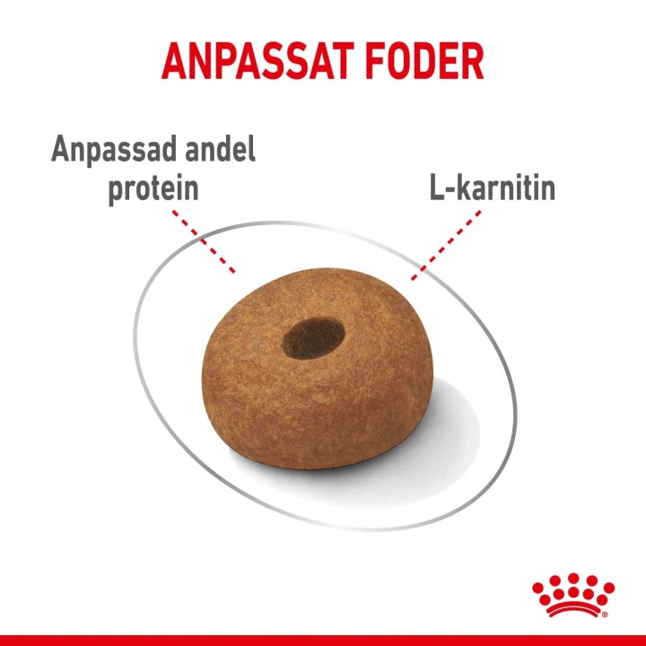 Royal Canin Light Weight Care Maxi Dog 12 kg Royal Canin